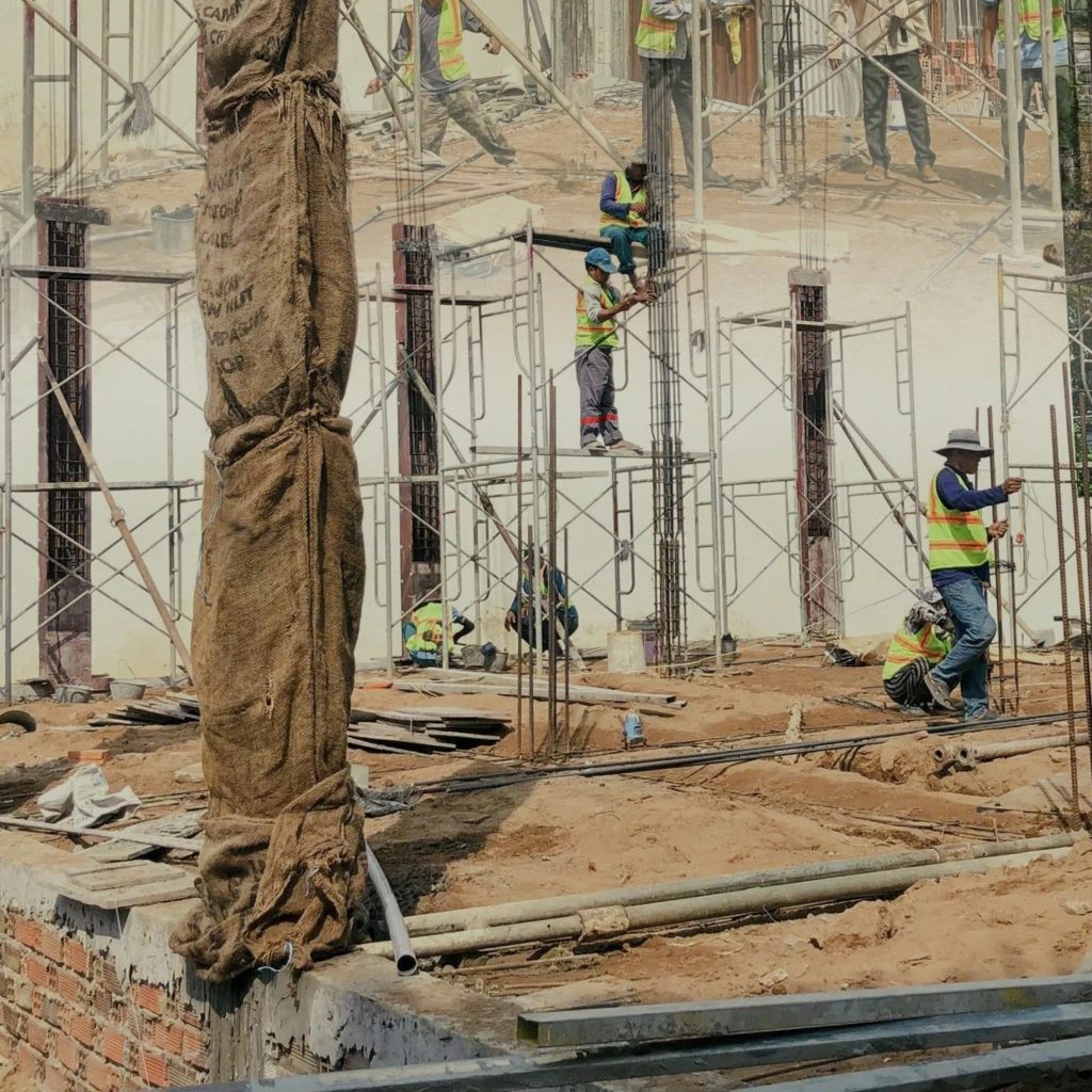 ola family 2 ket cau phan tho